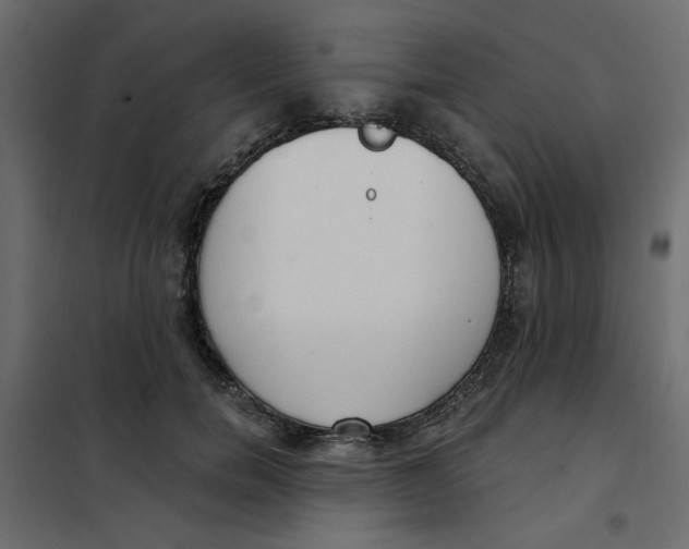 X0000102000750200808081700