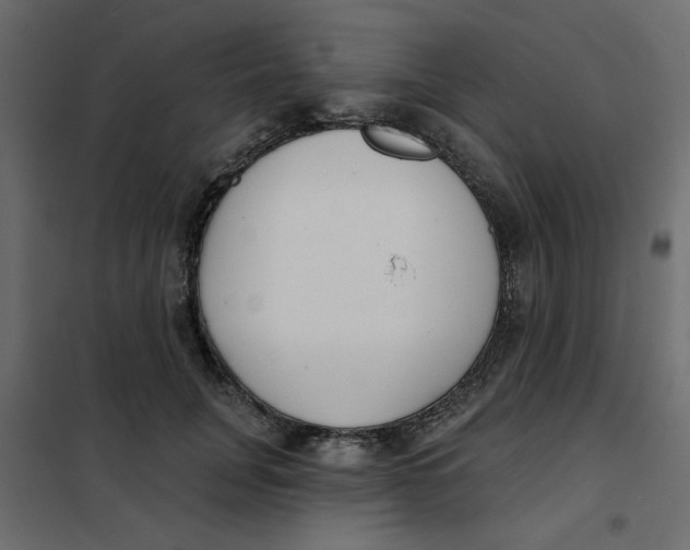 X0000102000751200808081700