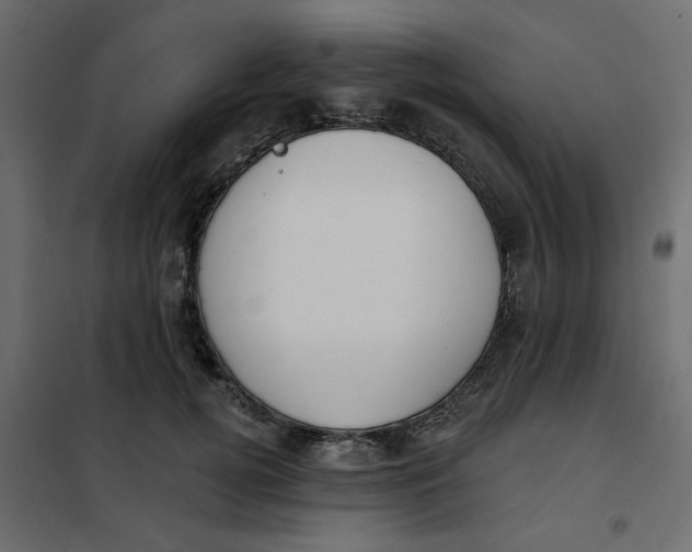 X0000102000752200808081700