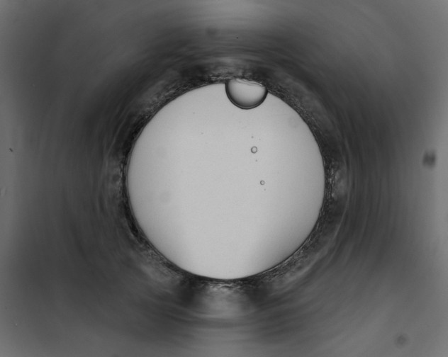 X0000102000753200808081700