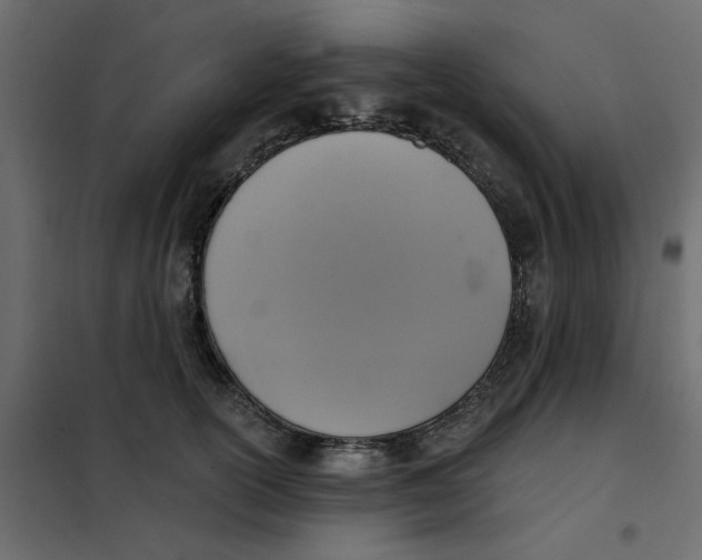 X0000102000754200808081700