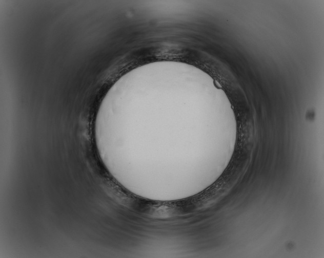 X0000102000755200808081700