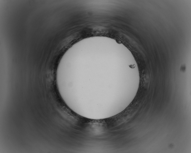 X0000102000756200808081700