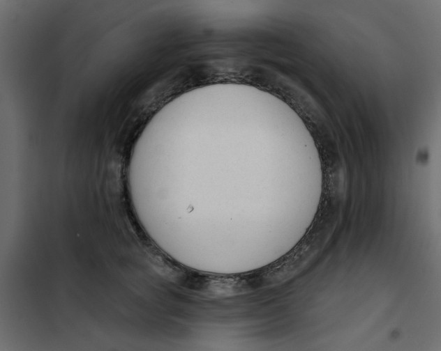 X0000102000757200808081700