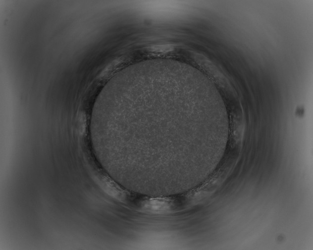 X0000102000758200808081700