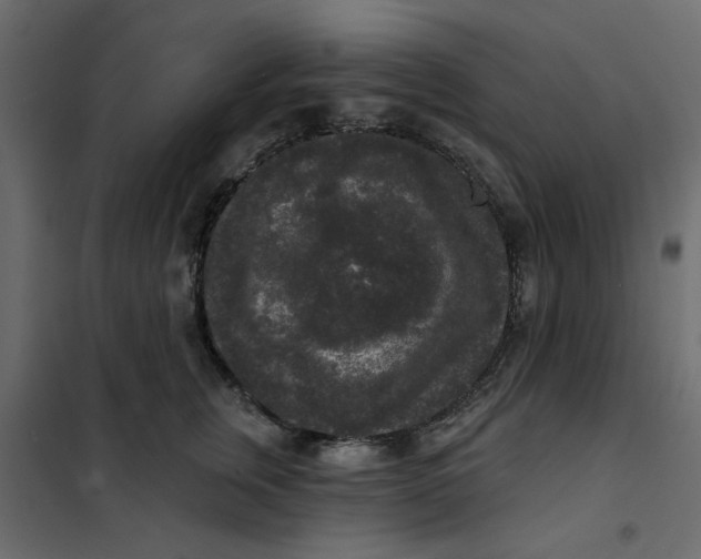 X0000102000759200808081700