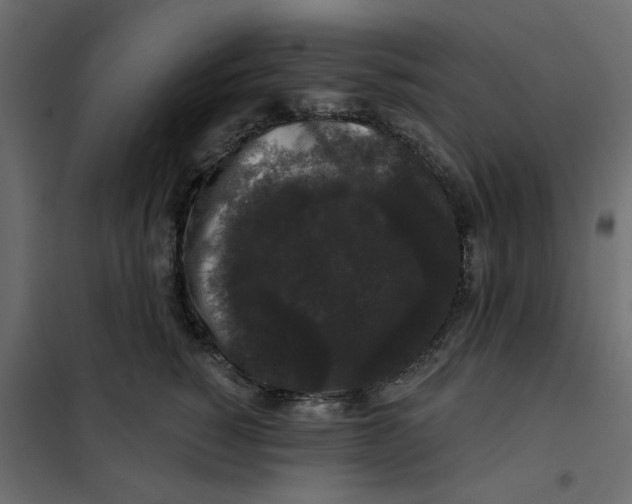 X0000102000760200808081700