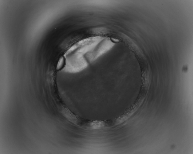 X0000102000762200808081700