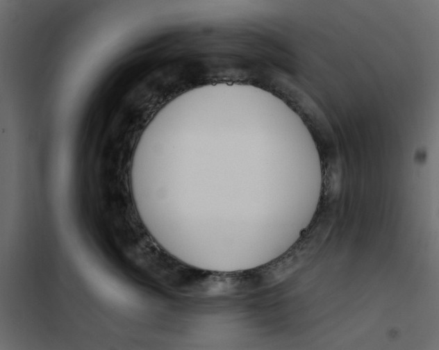 X0000102000764200808081700