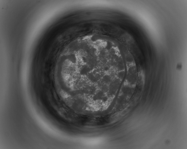 X0000102000765200808081700