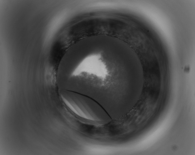 X0000102000766200808081700