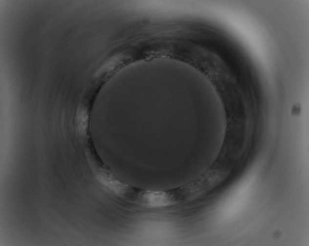 X0000102000767200808081700