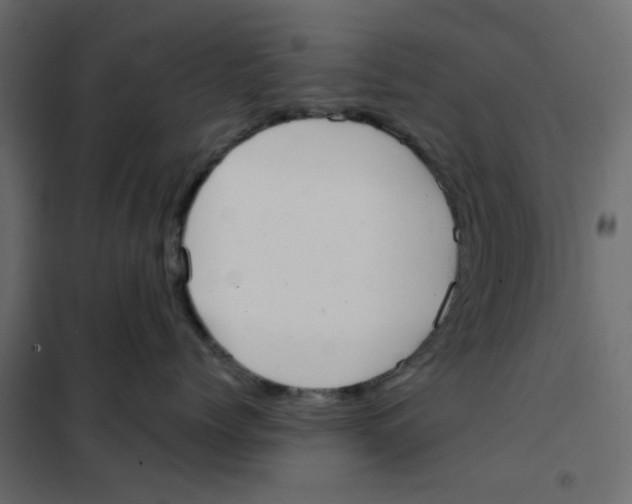 X0000102000768200808081700