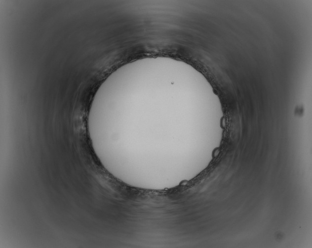 X0000102000770200808081659