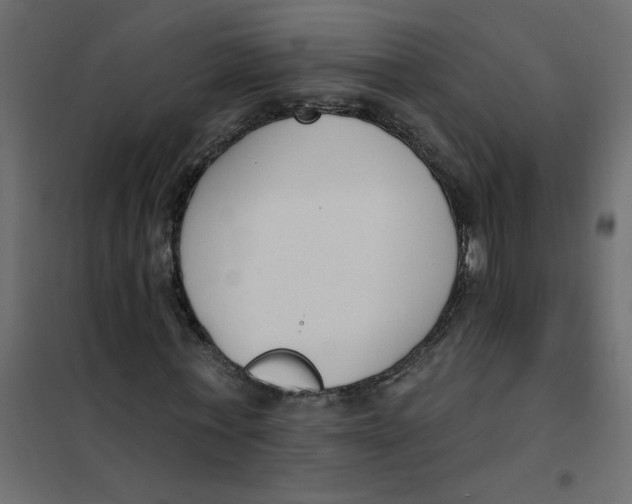 X0000102000771200808081659