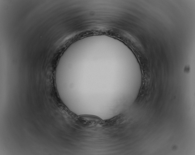 X0000102000773200808081659