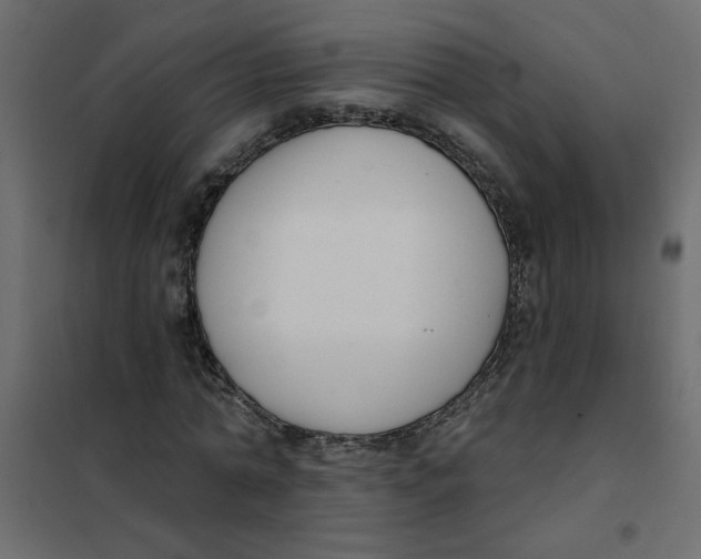 X0000102000774200808081659