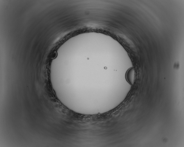 X0000102000776200808081659