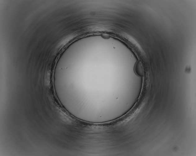 X0000102000777200808081659