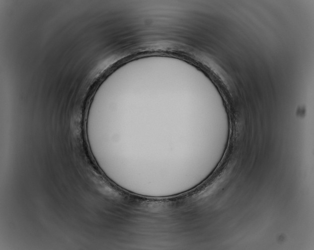 X0000102000778200808081659