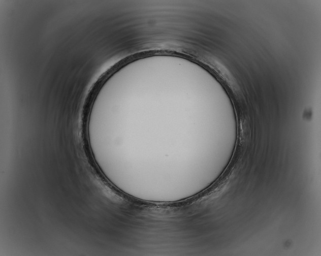 X0000102000780200808081659