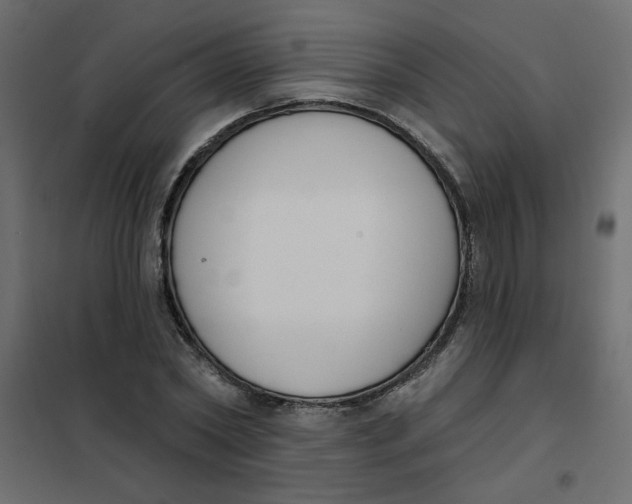 X0000102000782200808081659