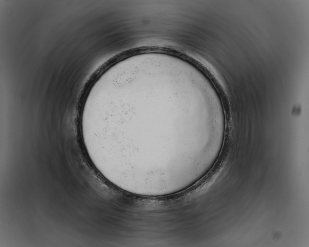 X0000102000783200808081659