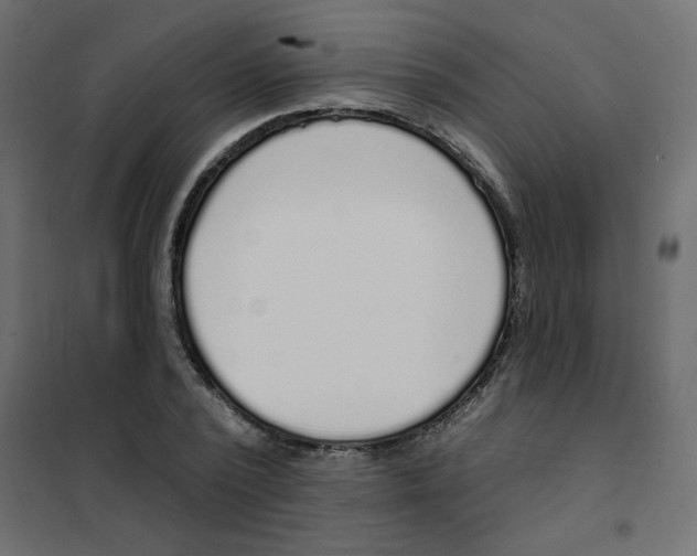 X0000102000784200808081659