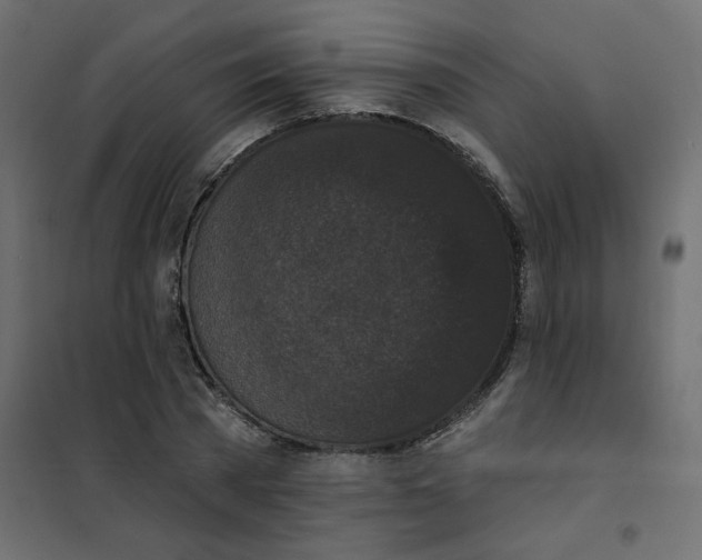 X0000102000785200808081659