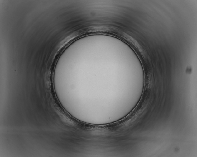 X0000102000786200808081659