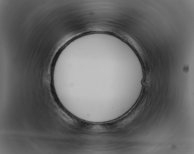 X0000102000787200808081659