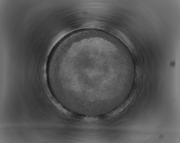 X0000102000788200808081659