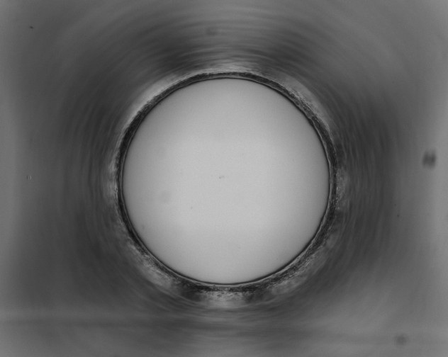 X0000102000789200808081659