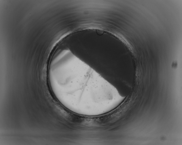 X0000102000790200808081659