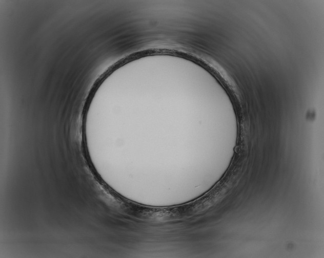 X0000102000791200808081659