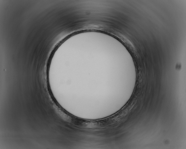 X0000102000792200808081659