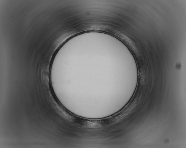 X0000102000794200808081659