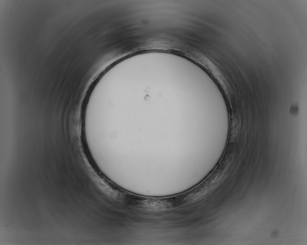 X0000102000795200808081659