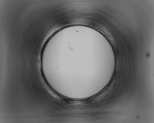 X0000102000796200808081659