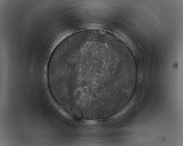 X0000102000798200808081659