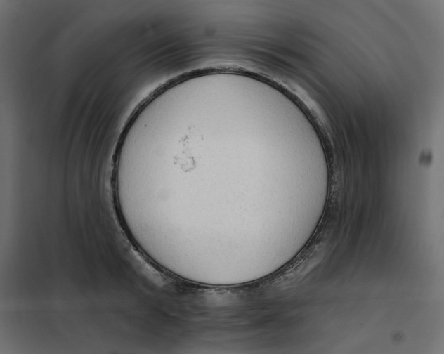 X0000102000799200808081659