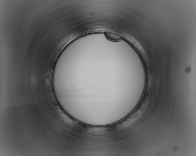 X0000102000801200808081659