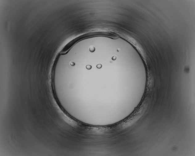 X0000102000803200808081659