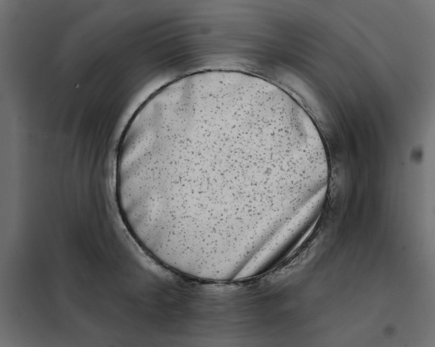 X0000102000804200808081659