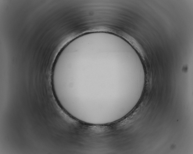 X0000102000805200808081659