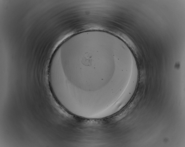 X0000102000806200808081659