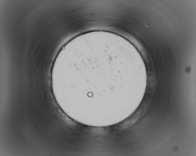 X0000102000807200808081659