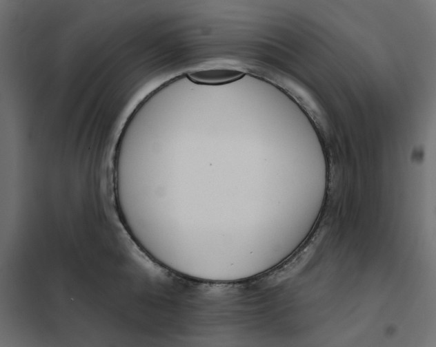 X0000102000808200808081659