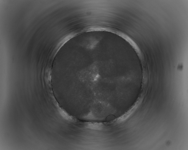 X0000102000809200808081659