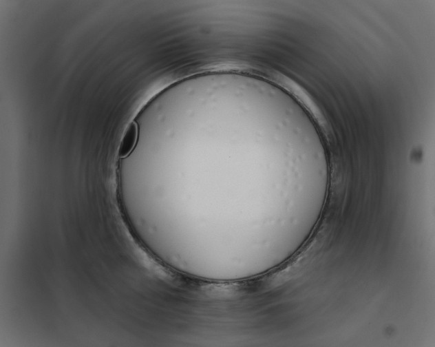 X0000102000810200808081659